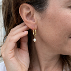 Delia Orecchini Blasone | Oro